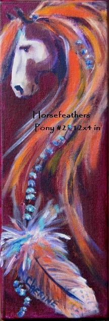 Indian pony feather